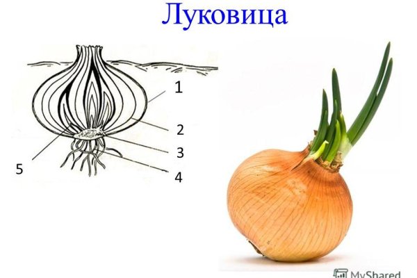 Кракен невозможно зарегистрировать пользователя